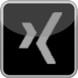Frank Hadwiger und XING